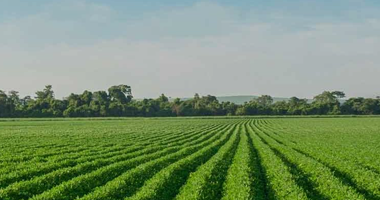 Deutz-Fahr